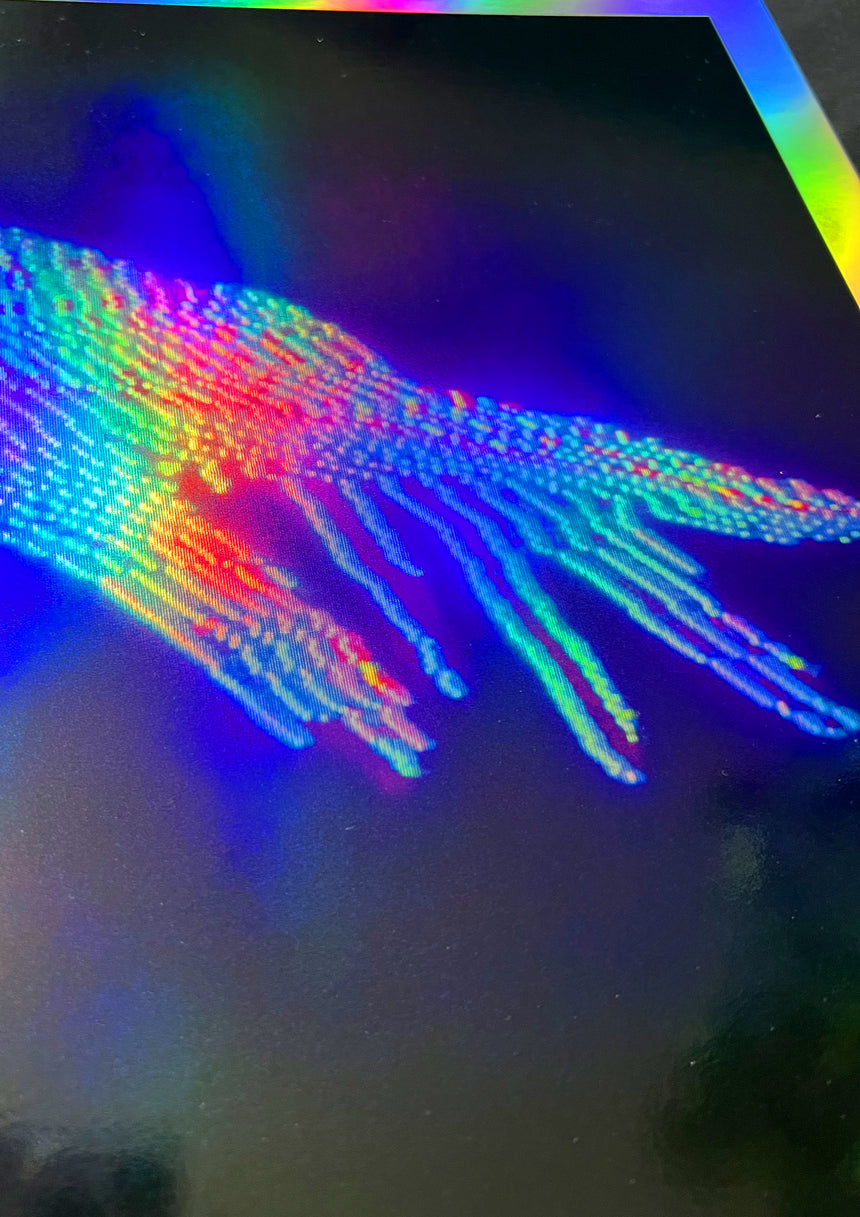 Special Set — Losing Grip - Holographic Prints